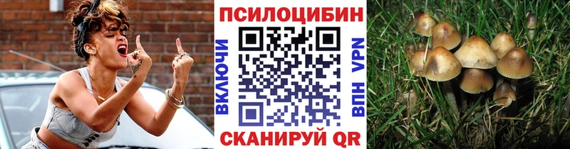 Галлюциногенные грибы прущие грибы  закладка  Льгов 